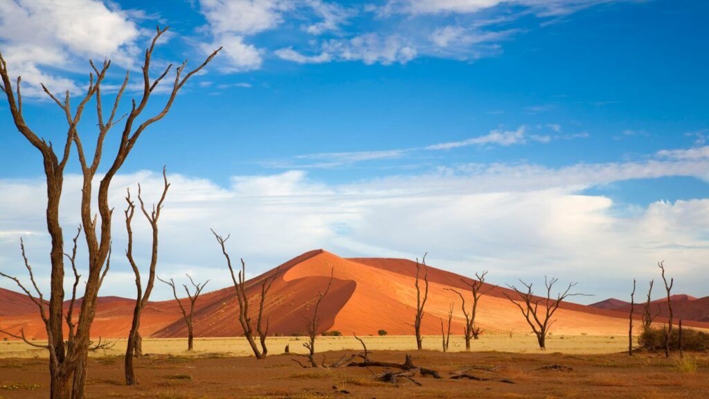 namibia desert sand dunes