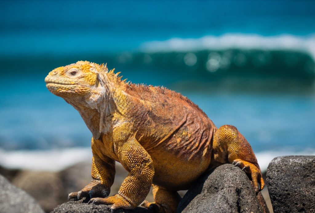 family travel destinations