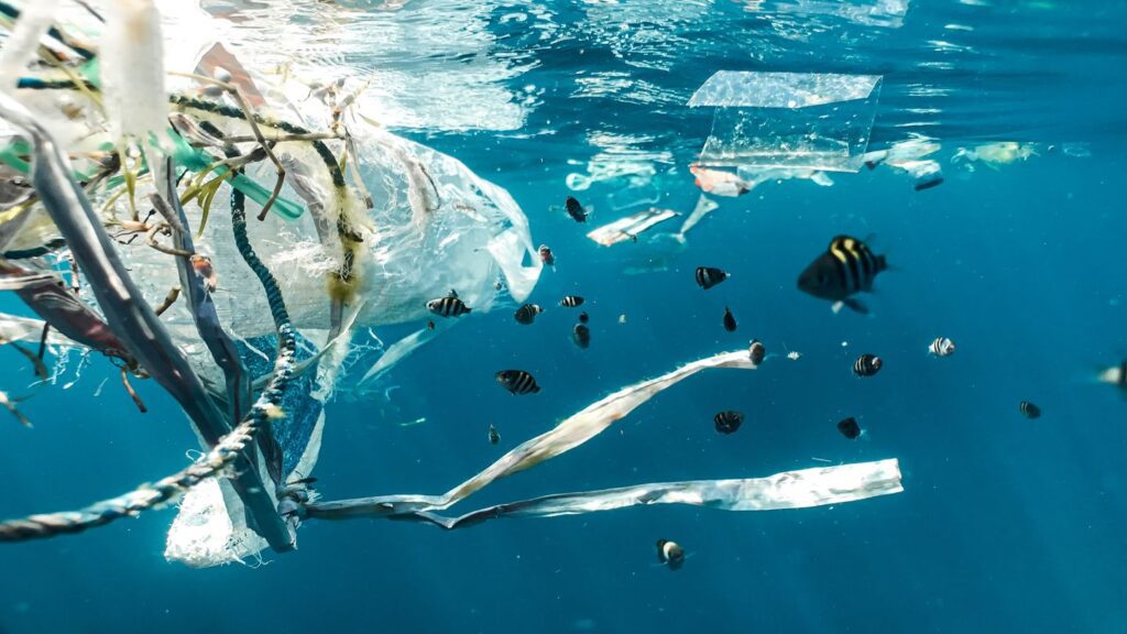 plastic in the ocean