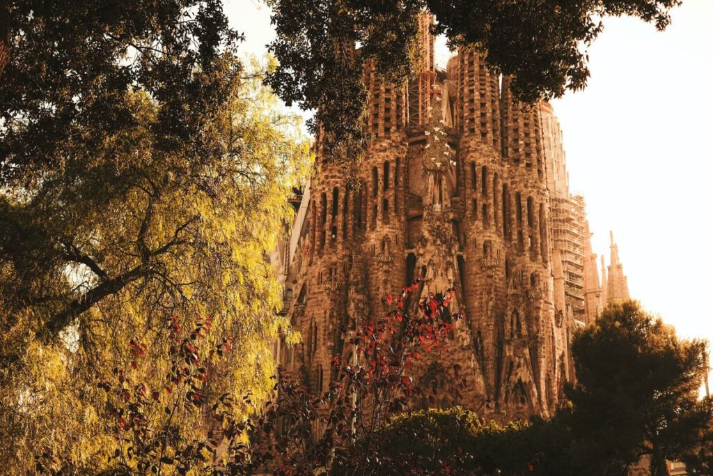 The Sagrada Familia Basilica, a highlight of the best of Barcelona, viewed through surrounding greenery in warm sunlight.