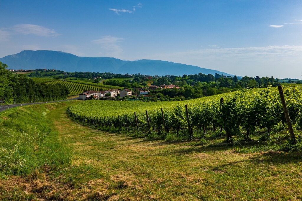 prosecco wine region, Veneto