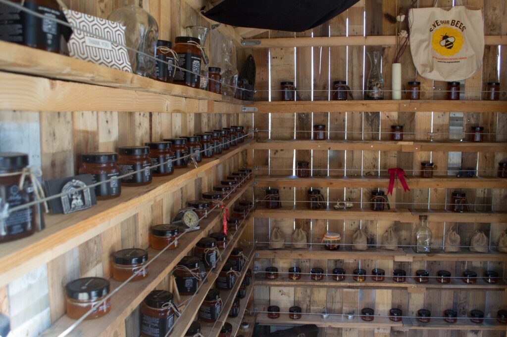 Trafalgar foodie experiences