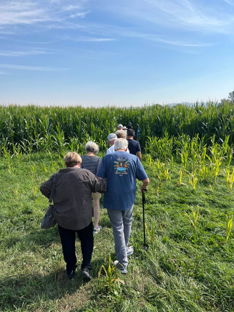 Maze Games at Swore Farm