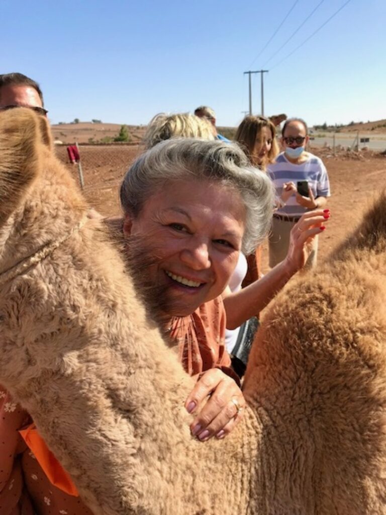 Dolores with an alpaca in Morocco - Trafalgar Unlocked Award winner