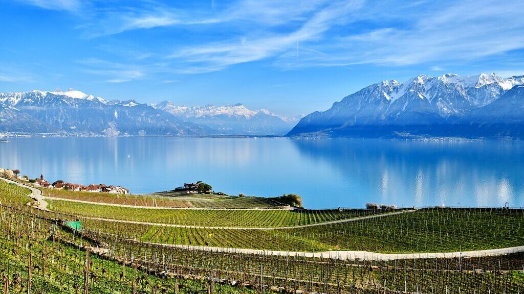 Image of a view looking across the vineyards of Lavaux towards Lake Geneva with snow-covered mountains in the distance.