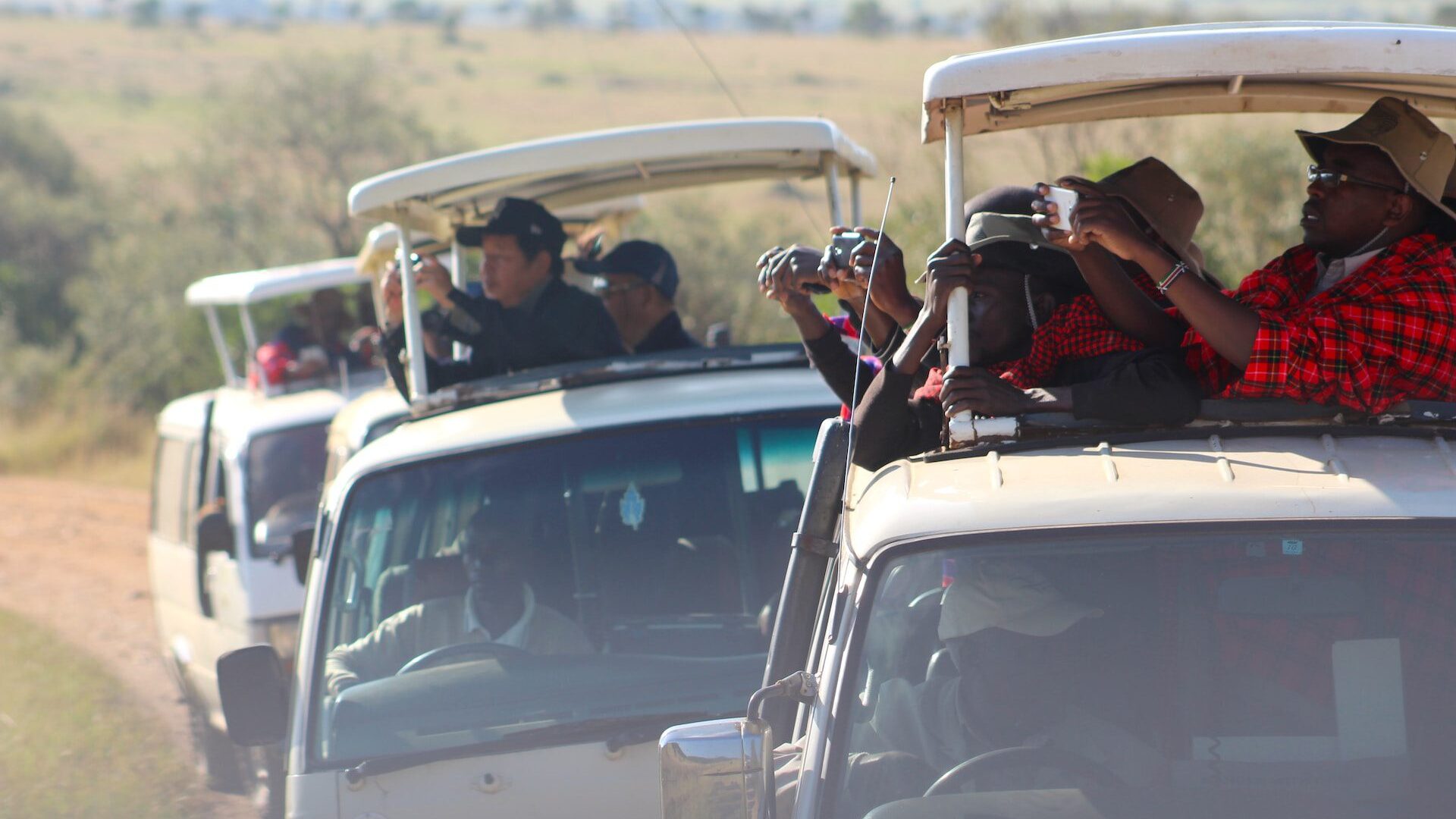 Photo of safari guests taking photos out the back of mini vans