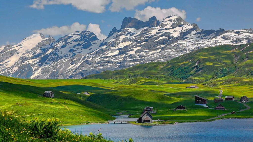 Image of Switzerland's green Alpine pastures, with snowy peaks in the background