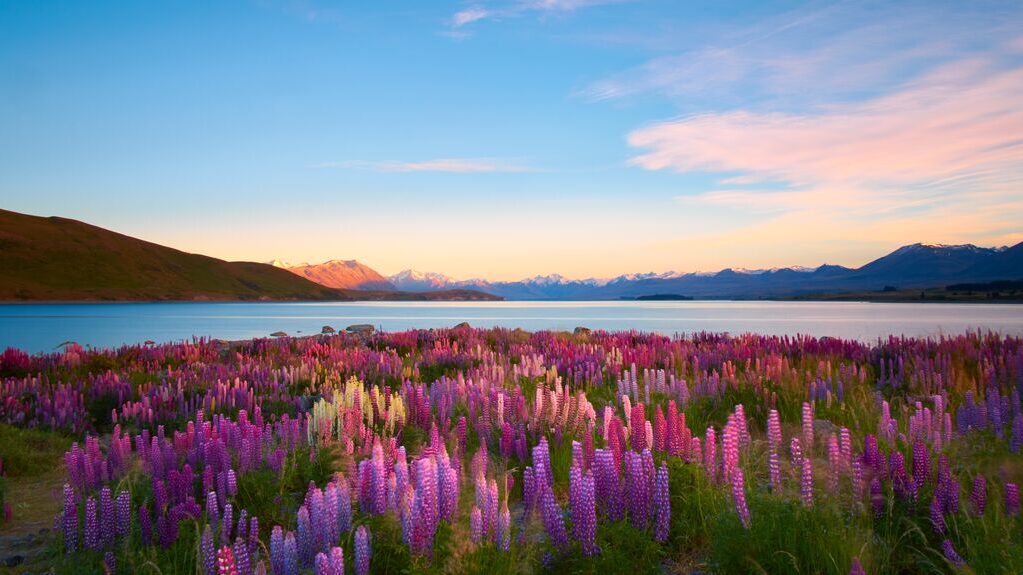 A spring tour to New Zealand brings out the vibrant colors of nature