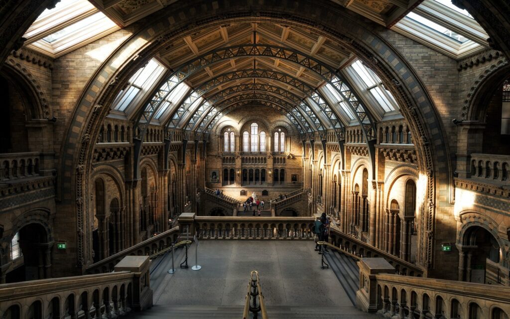 entrance stairway at the Natural History Museum