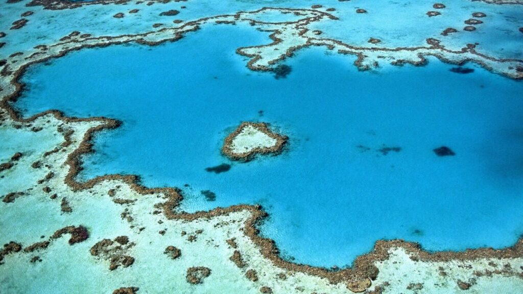 The Great Barrier reef seen from the air