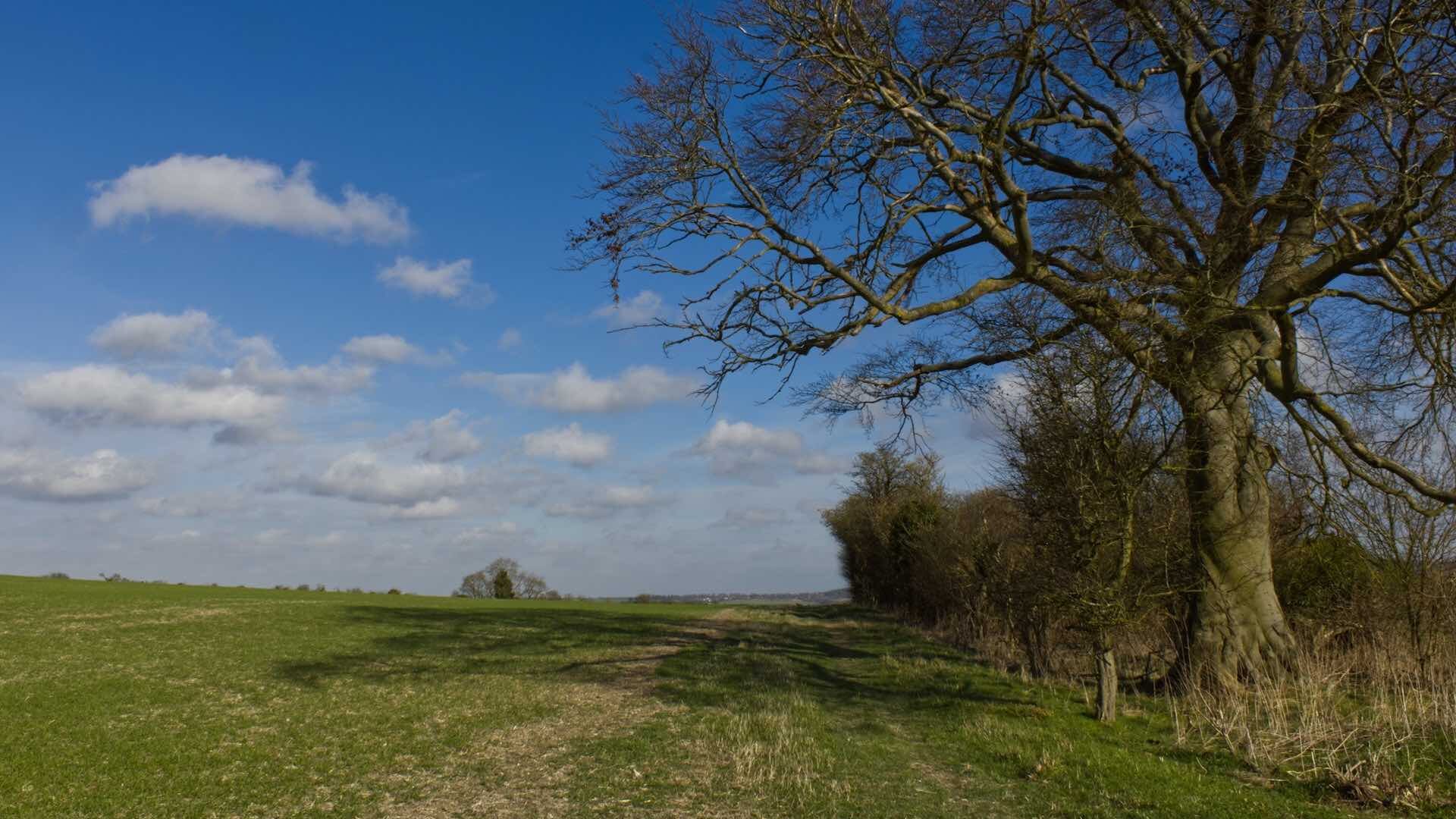 The Ridgeway trail,. Ivinghoe beacon, Leighton buzzard, UK