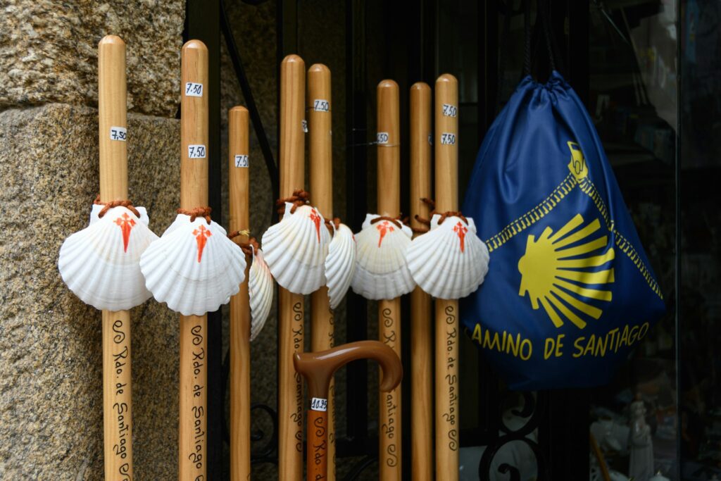 Scallop shells tied to walking sticks for sale 