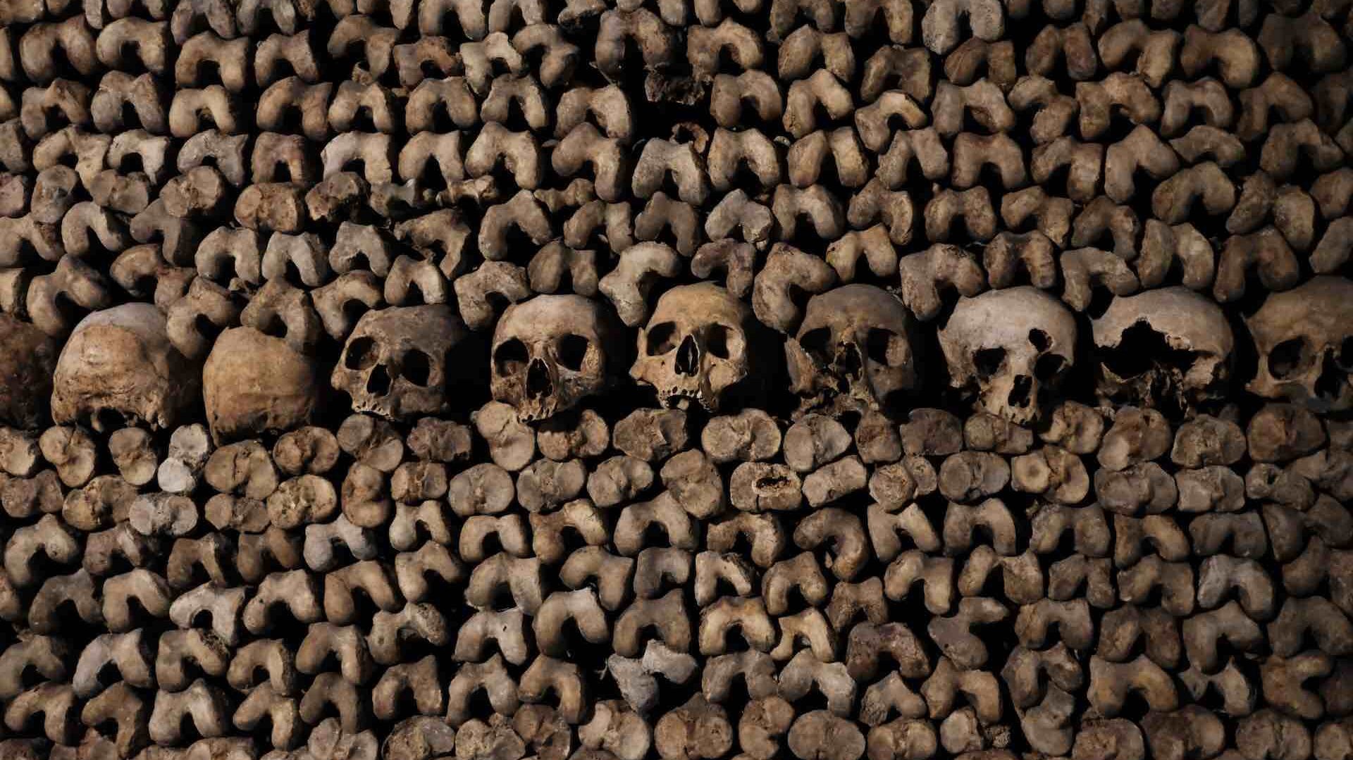Skulls and bones in the catacombs of Paris