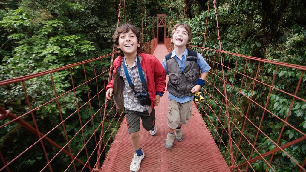 Two boys walking across a suspension bridge in the woods