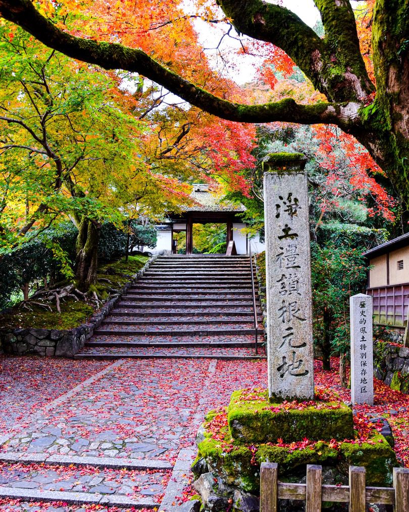 fall foliage in East Asia