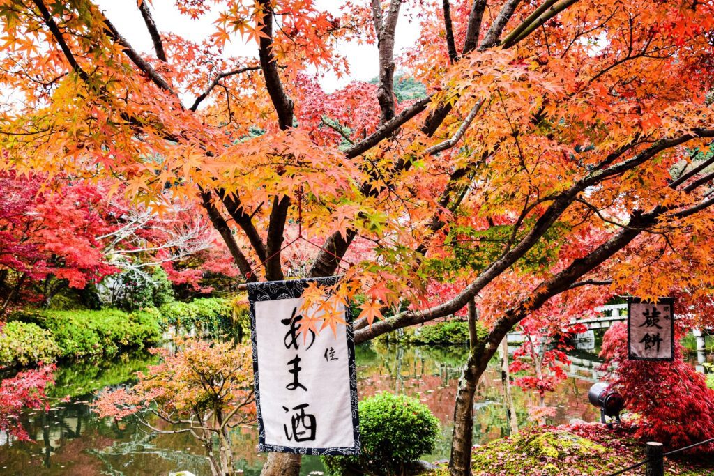 fall foliage in East Asia