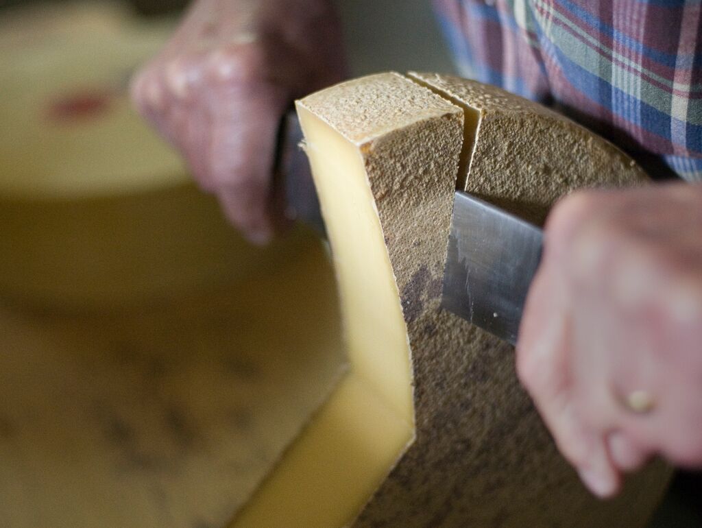 close-up of someone slicing a wedge of cheese from the wheel