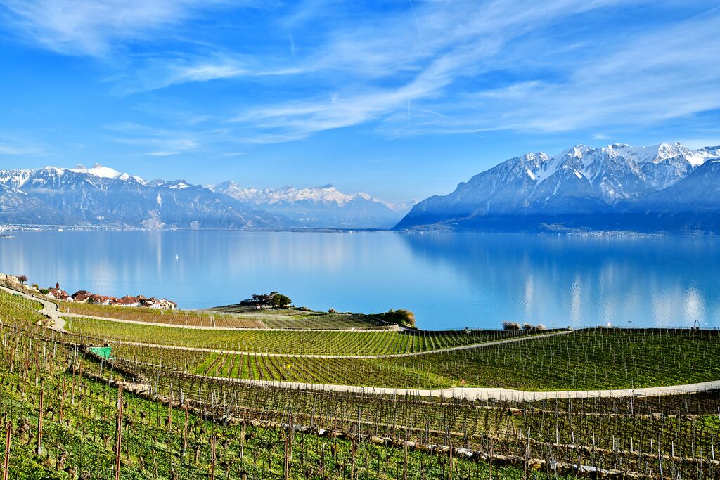 The view from the vineyards out into the mountain range and glassy lac Leman.