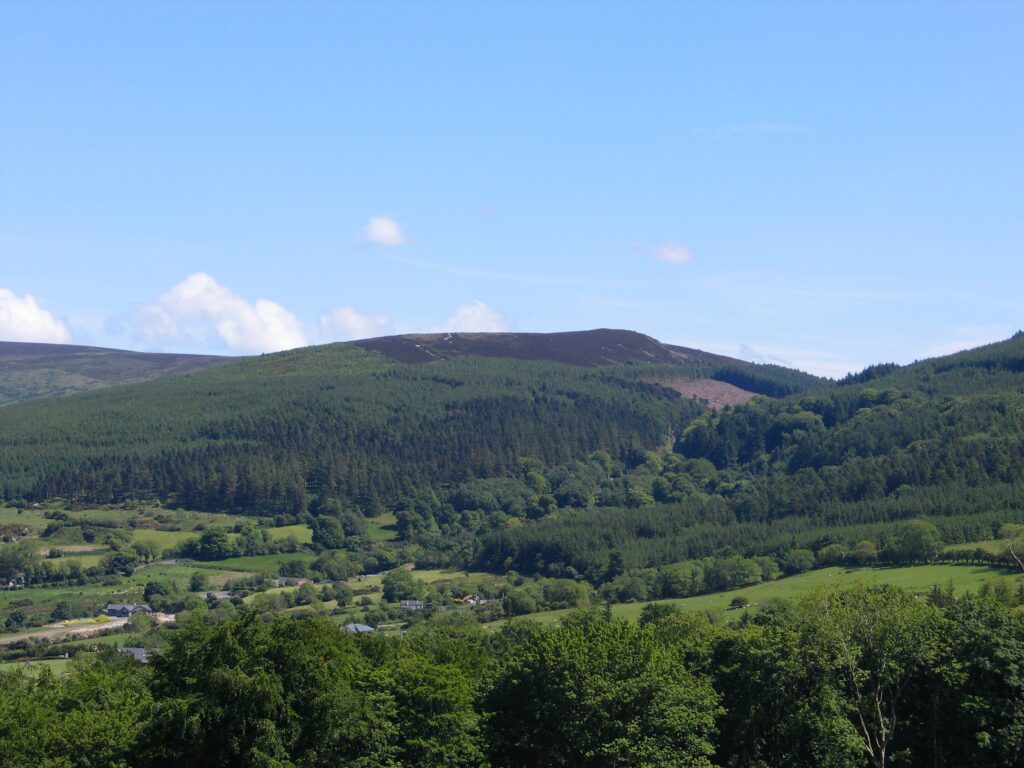 A view above the trees in Tibradden