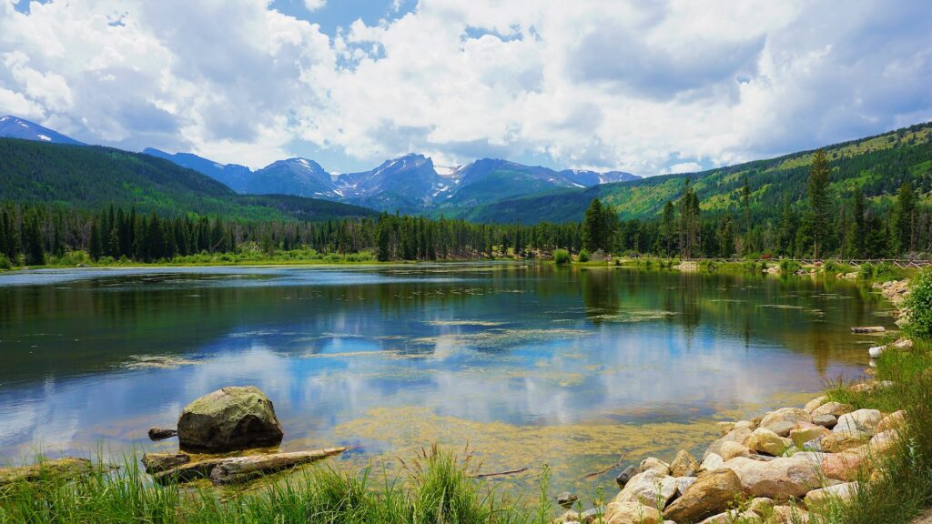 View over a lake, looking towards forest and mountains in the distance in Rocky Mountain National Park 