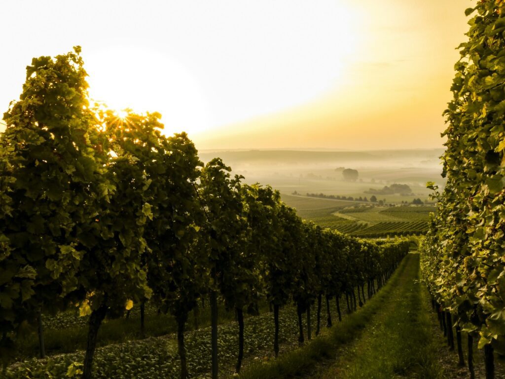 25 exciting things to do in Portugal on your next trip