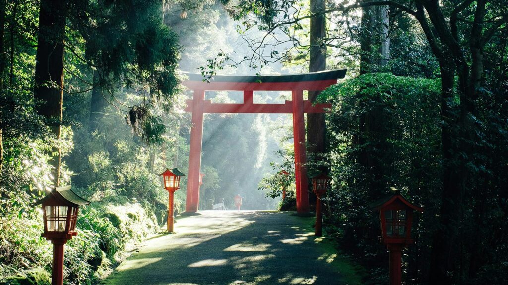 Japanese summers are very hot and humid, so escaping to the forest is a good idea