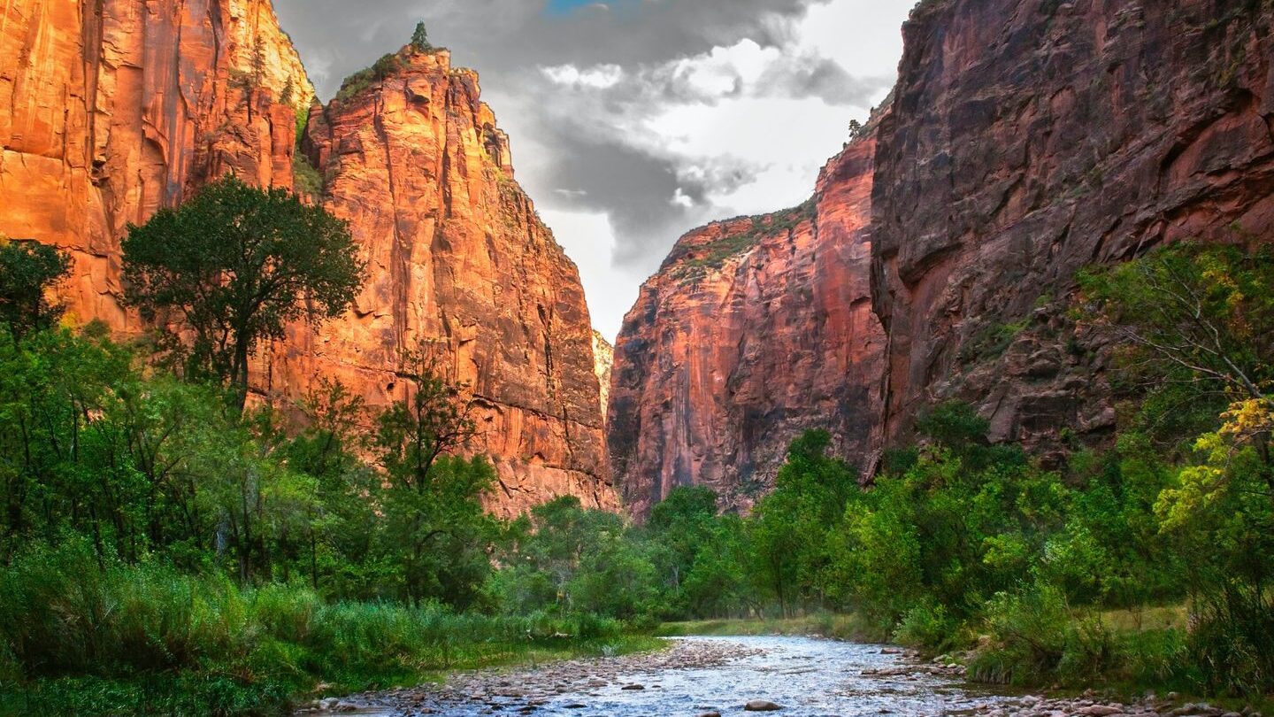 pebbly stream running through a large canyon in Zion National Park