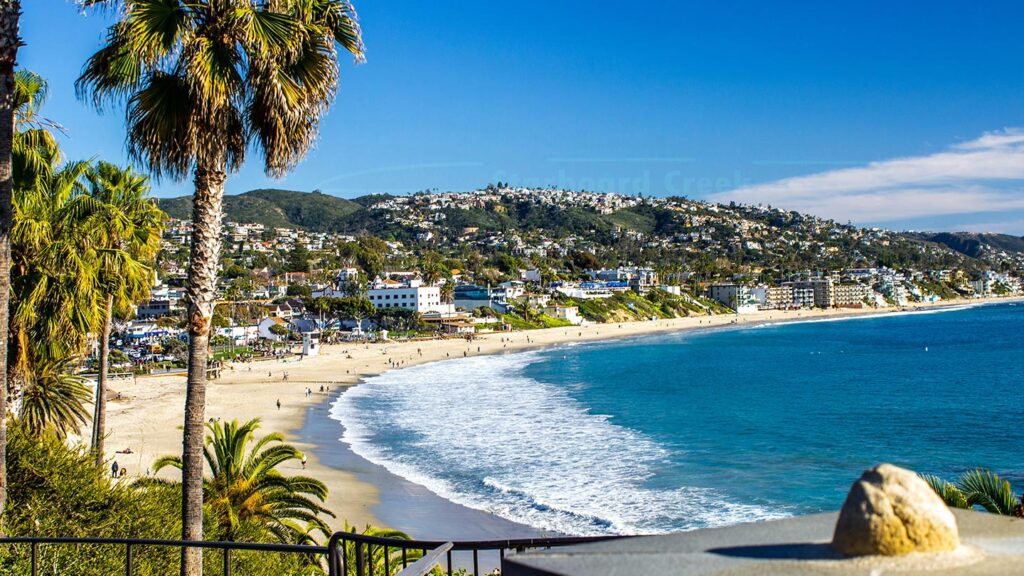 Blue sea washing onto a blonde beach with palm trees in the foreground 