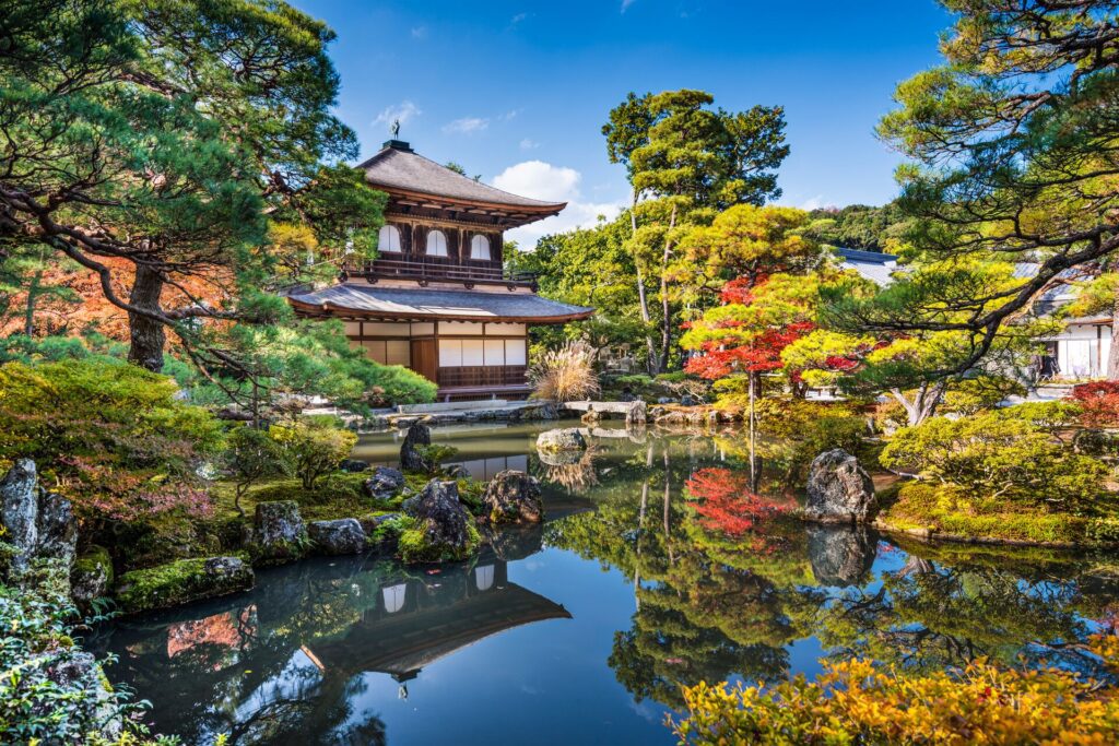 Japanese garden in summer