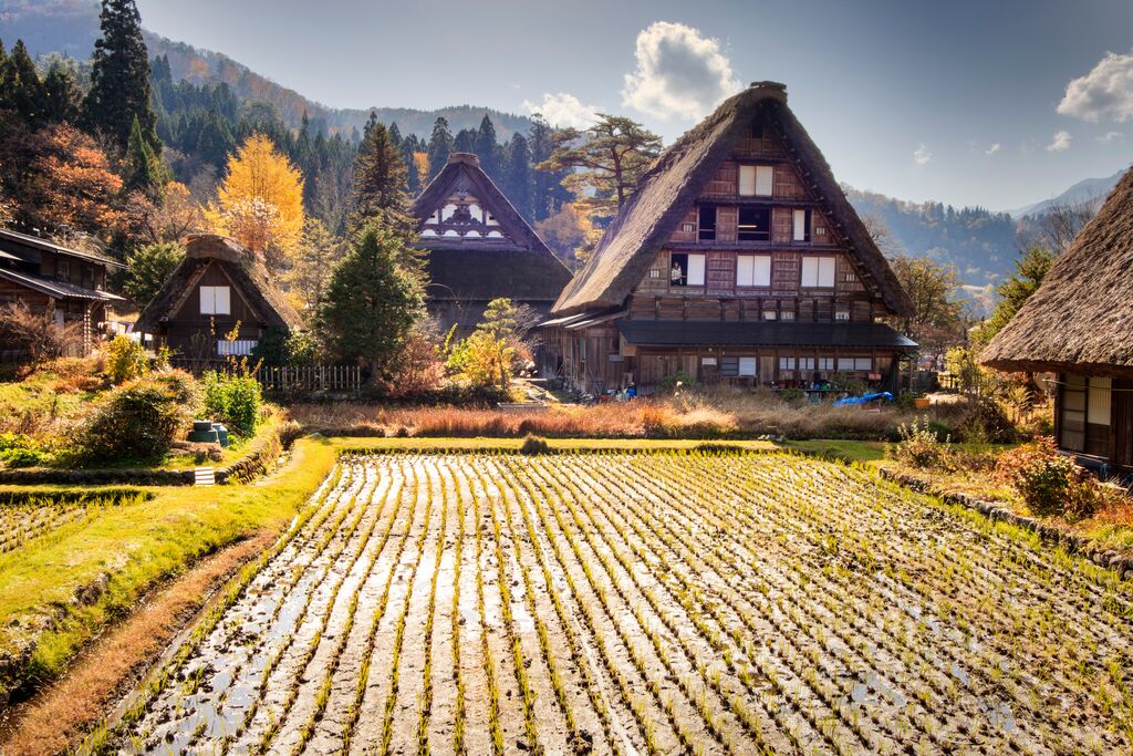 Traditional thatched houses and arable fields in Gokayama Japan