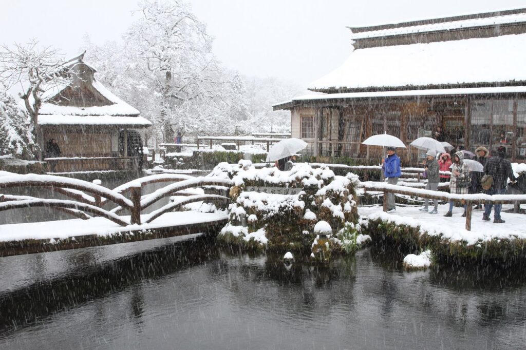 Snowfall covers Japanese bridges, bushes and buildings