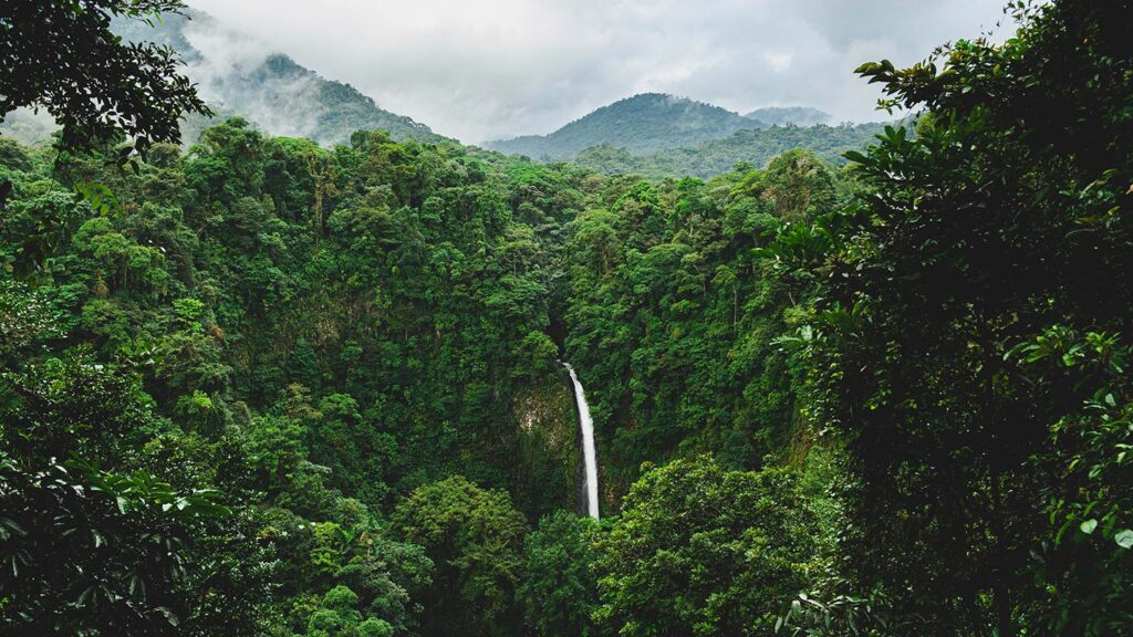 An enchanting tropical forest backdrop with lush green mountains in the distance that touch the clouds.