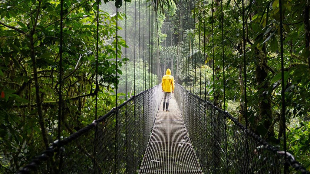Person wearing a yellow raincoat standing in the middle of a suspension bride in a rainforest in Costa Rica