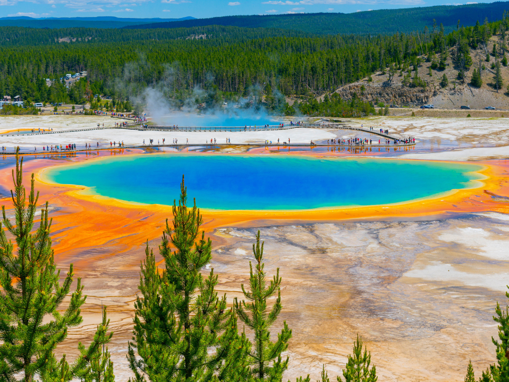 Grand prismatic spring with a forest of pine trees stretching out into the horizon