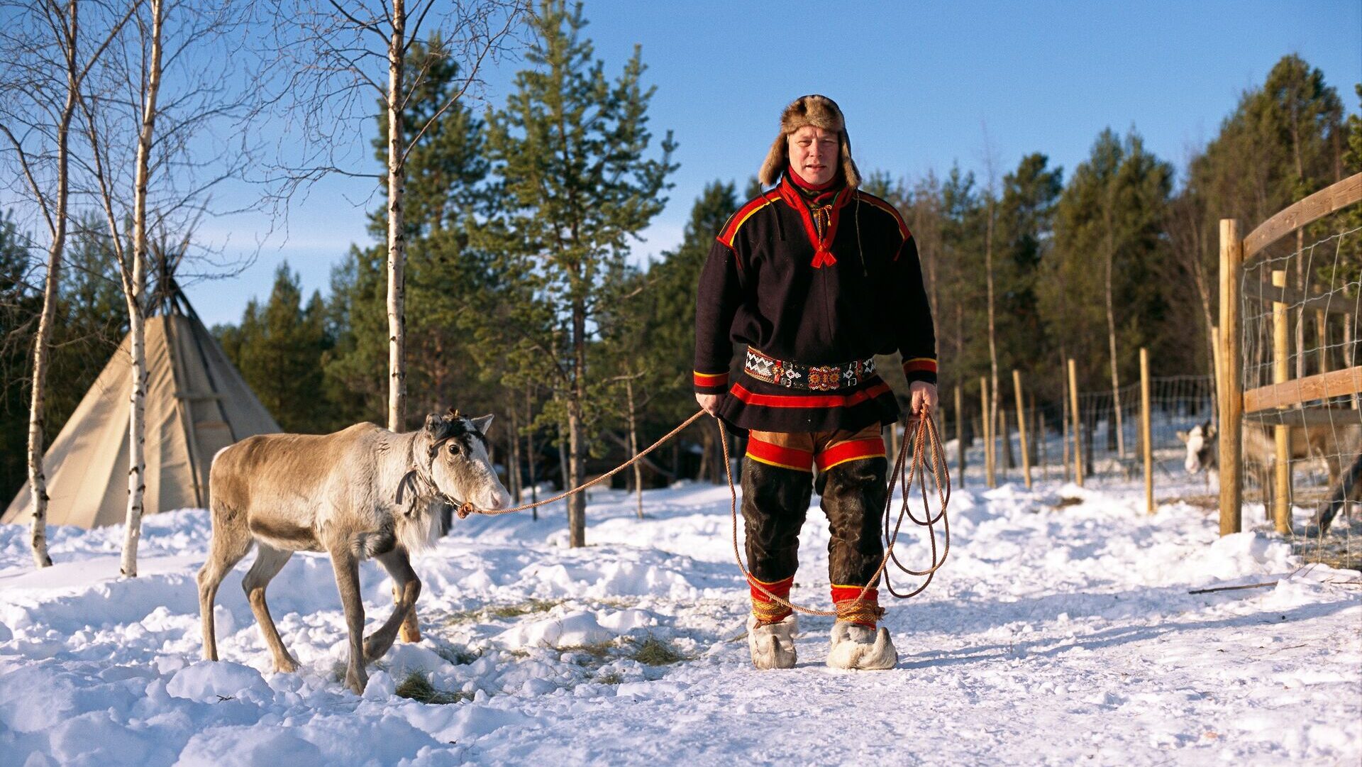 Sami reindeer herder