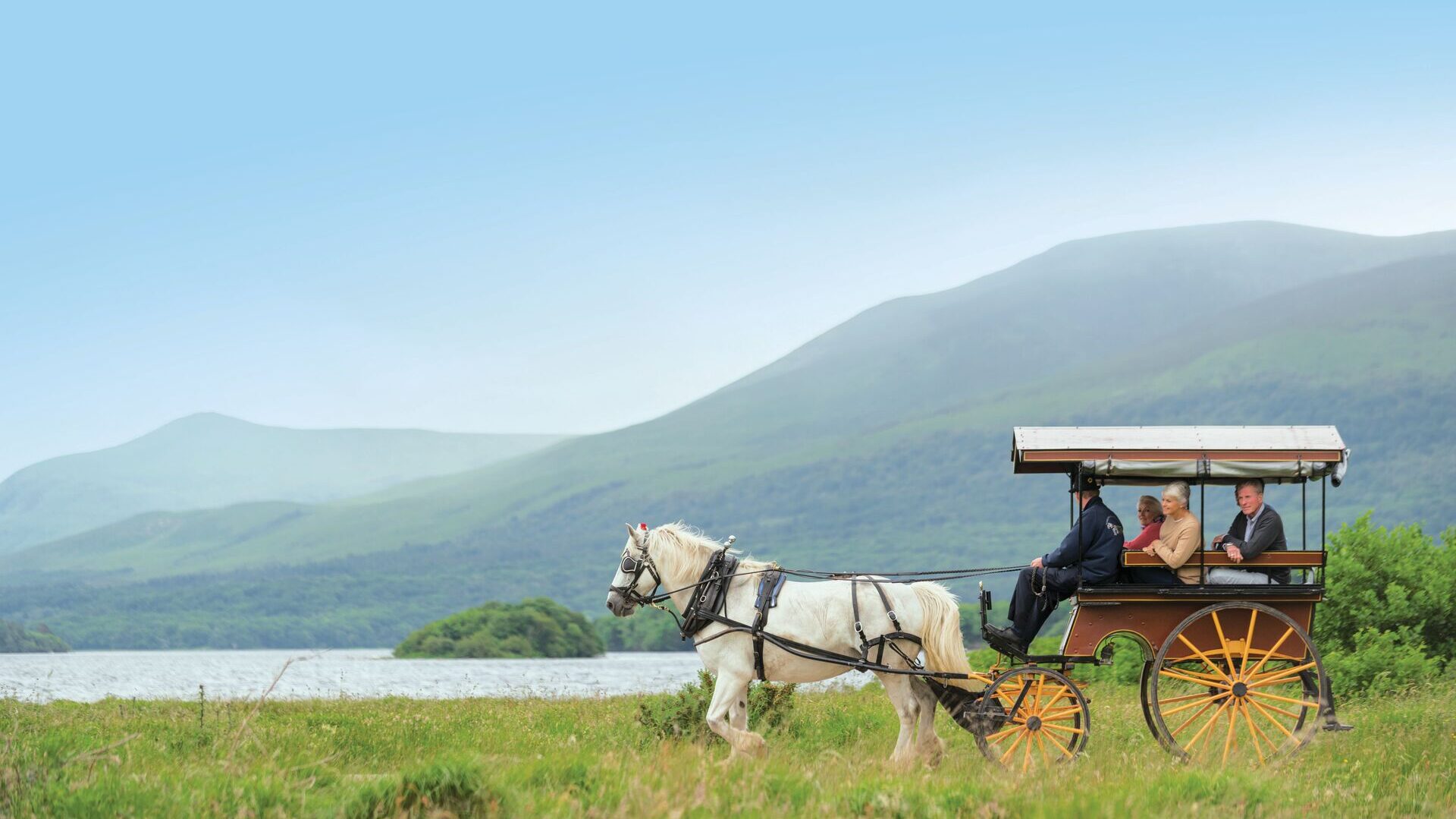 ireland horse and carriage