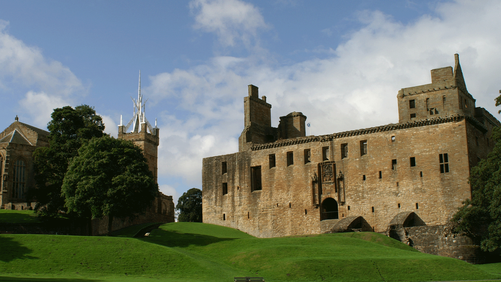 A green grassy field.