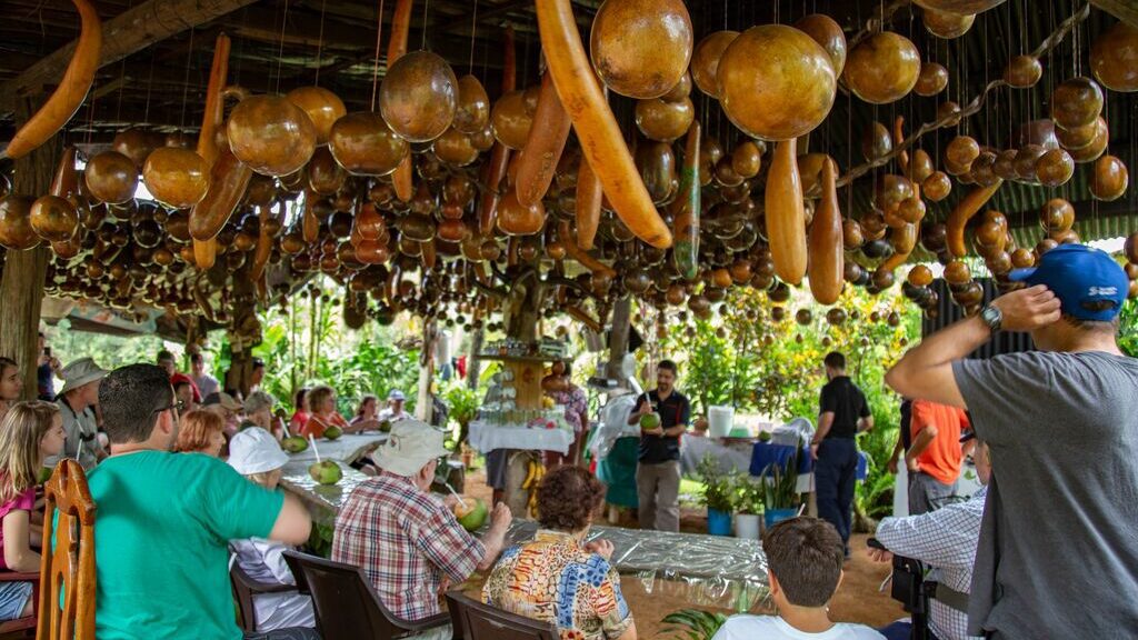 Costa Rica Sarapiqui Rainforest