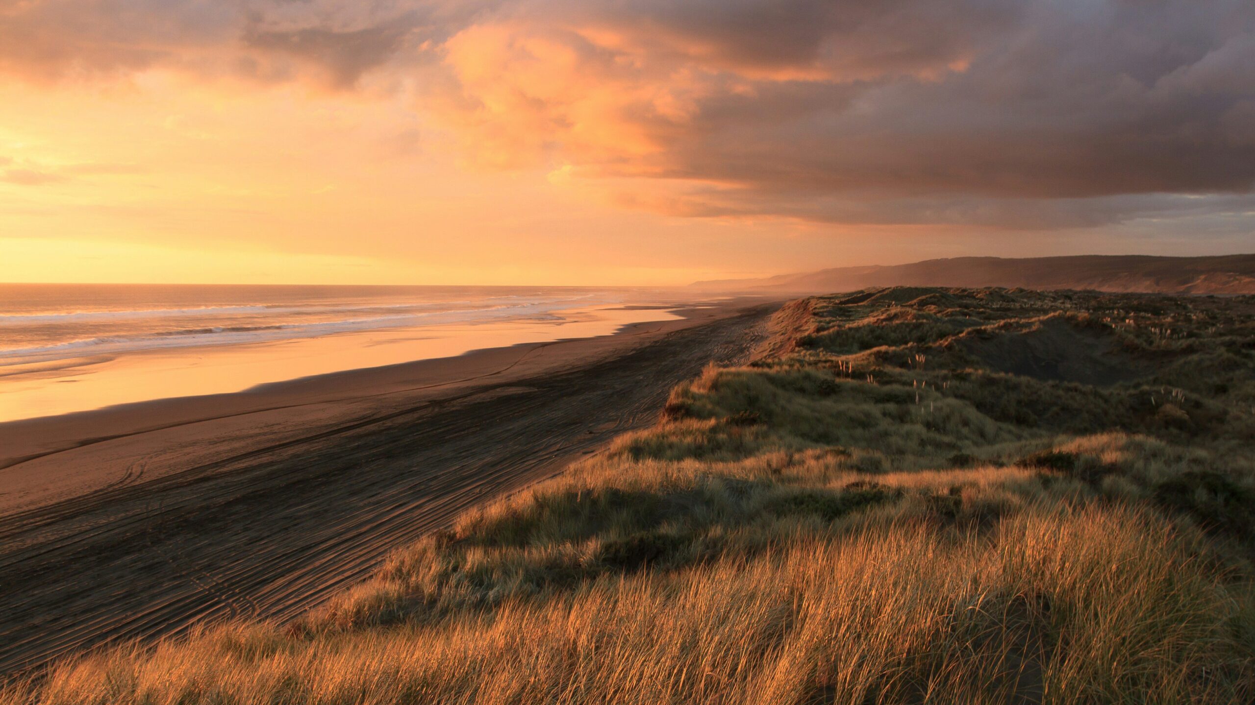Port Waikato Tuakau Auckland New Zealand