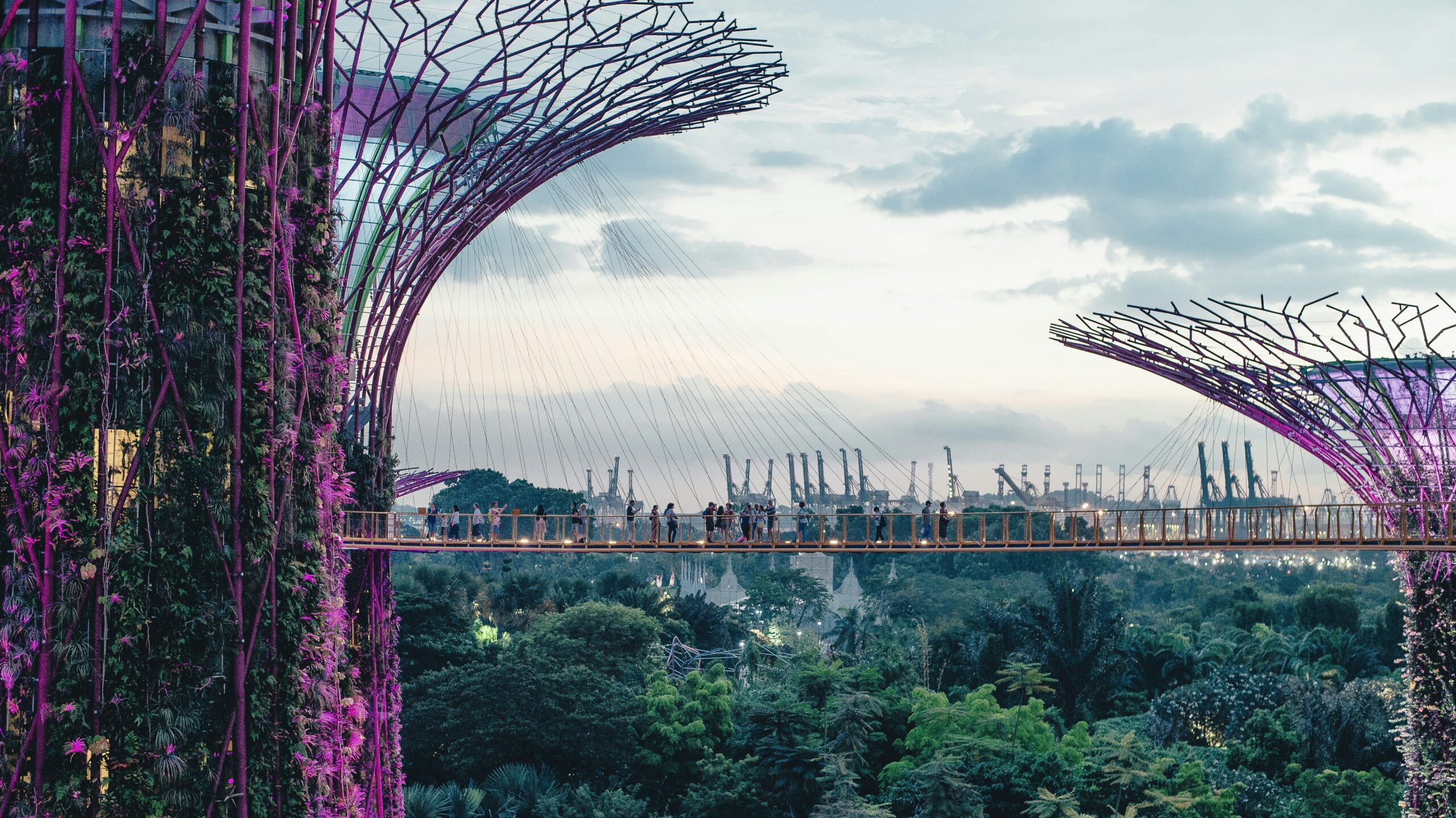 Singapore Gardens skywalk