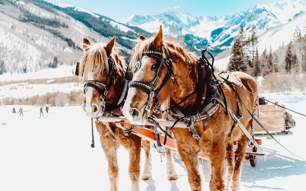 Aspen, Colorado in winter with horses pulling a carriage through the snow