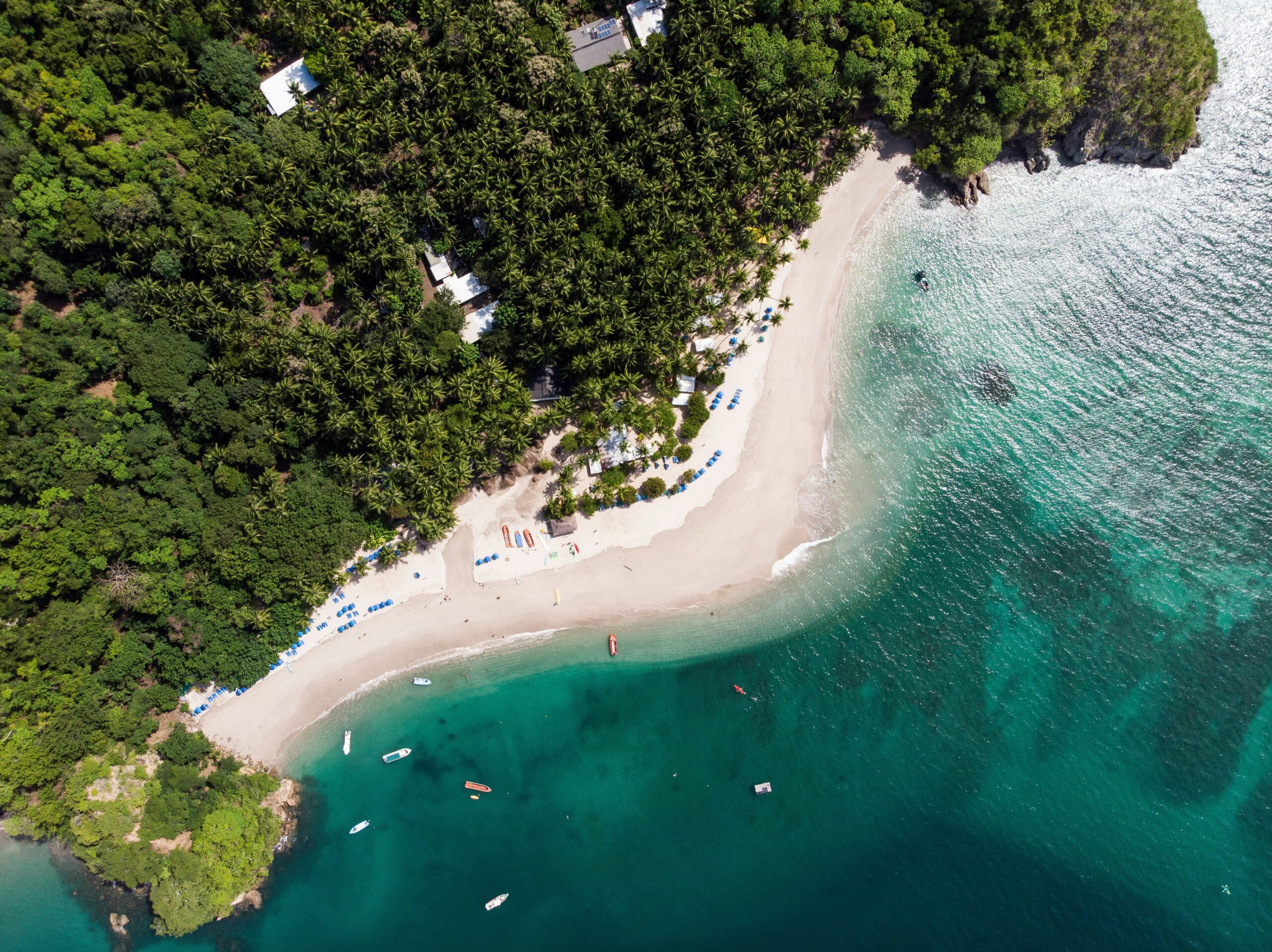 Birds-eye view of beach and forest