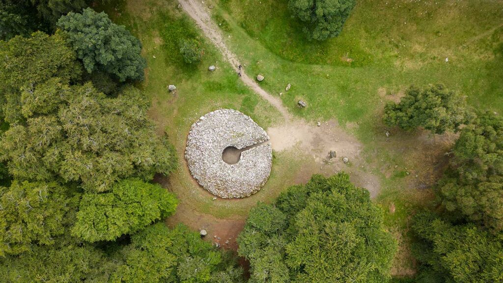 A bird's eye view of standing stones and greenery
