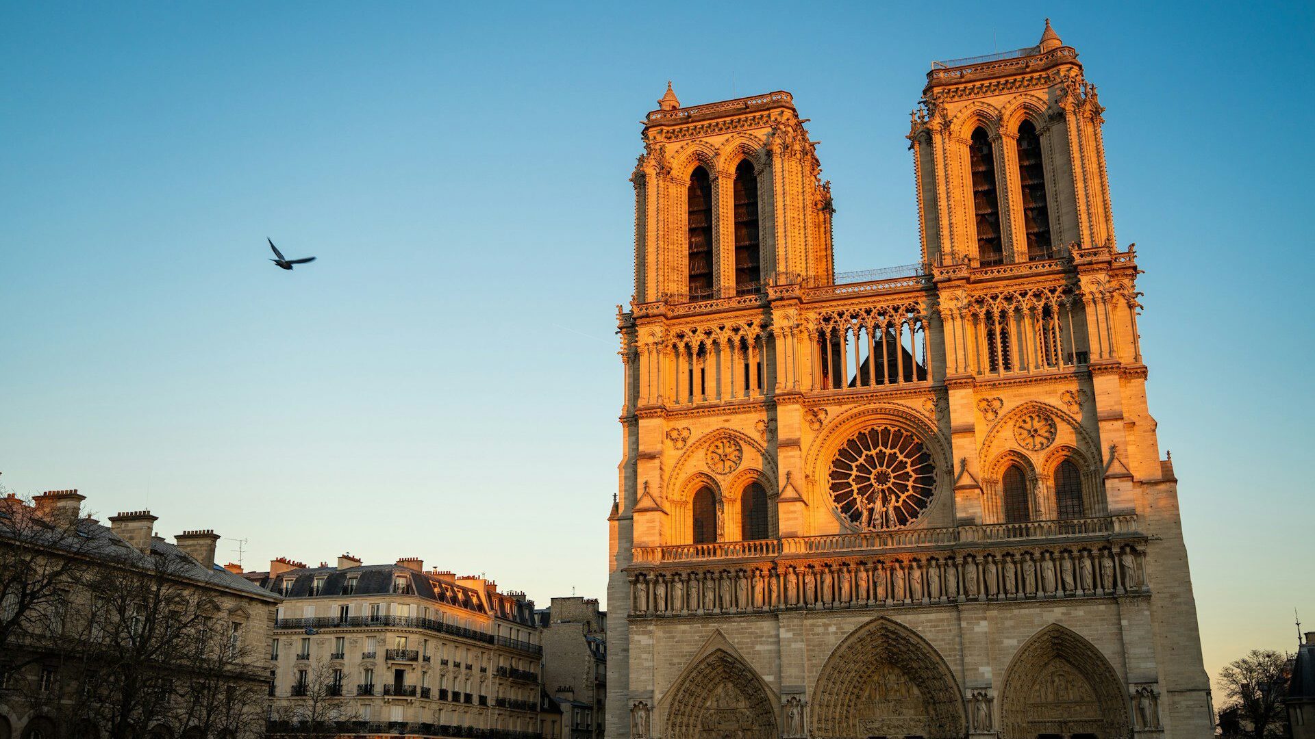 Notre-Dame cathedral in early morning sunlight against a blue sky