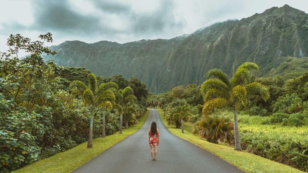 A woman walks down a road flanked by lush greenery and palm trees during a family vacation, with towering misty mountains in the background.