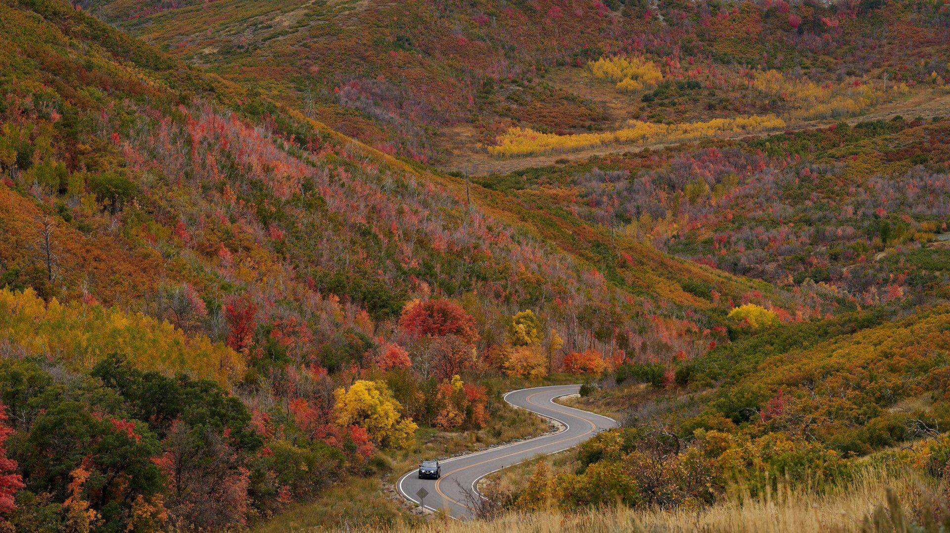 A car drives along a road winding through an autumnal landscape