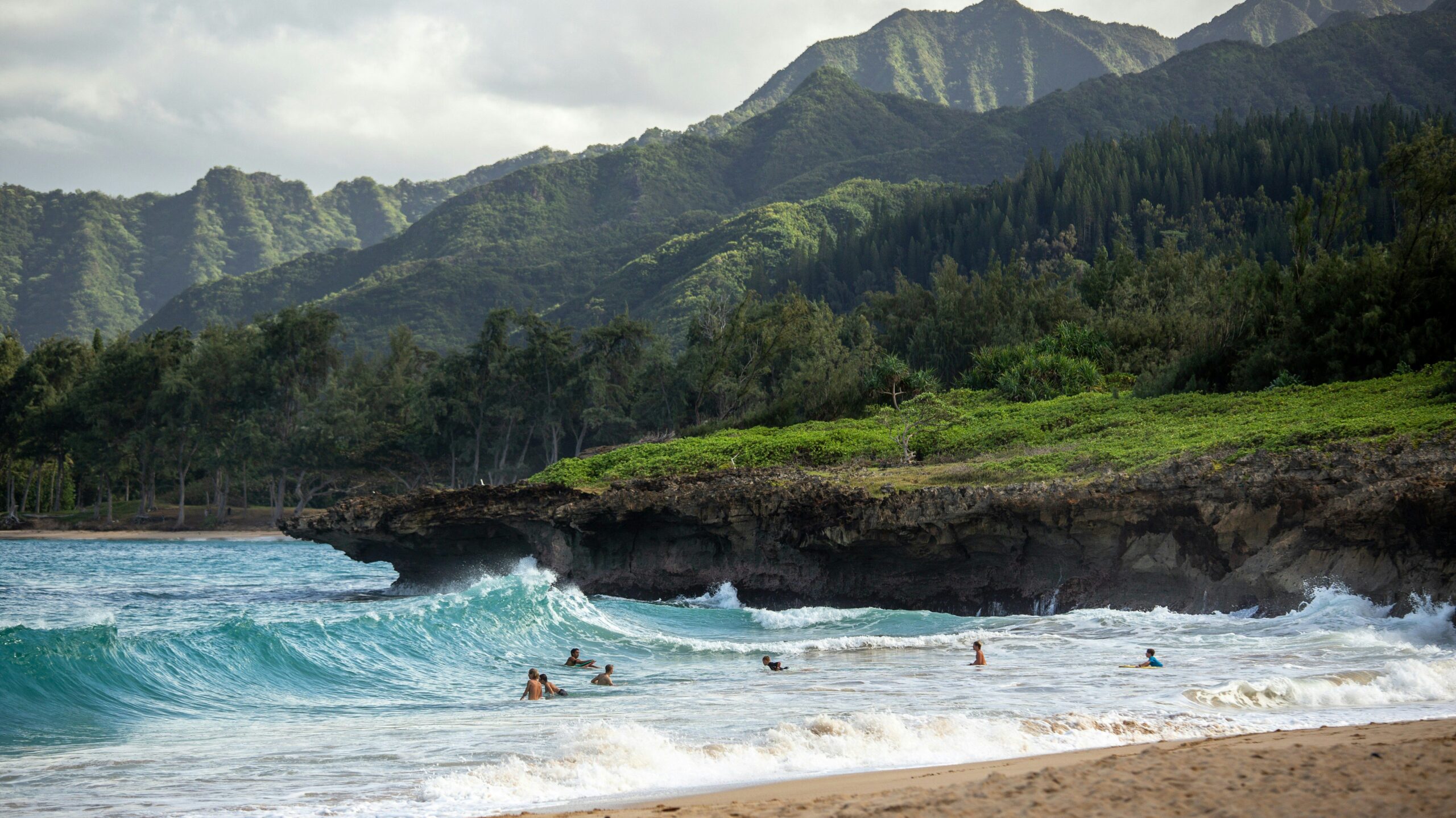 surfing in hawaii