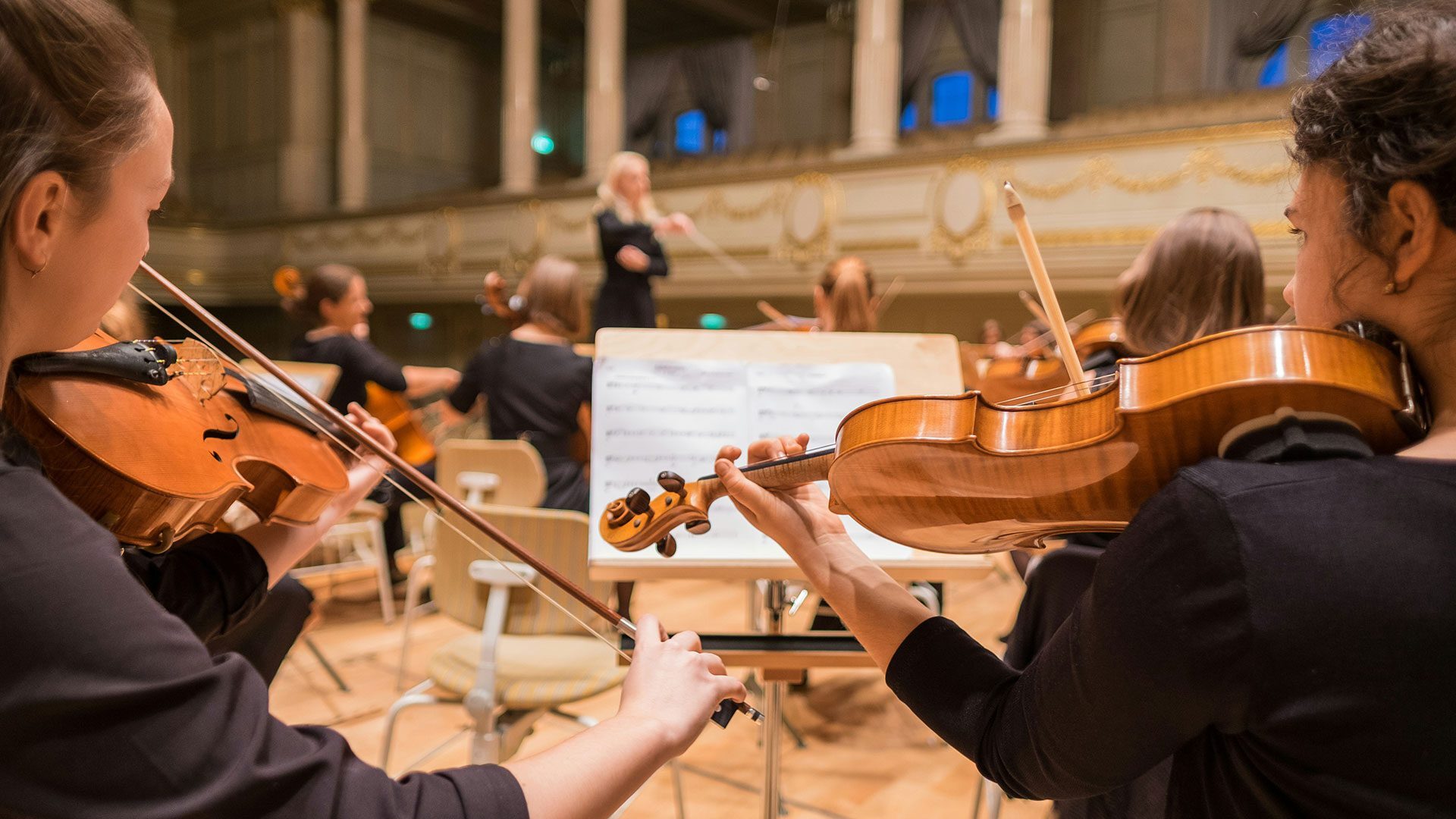 Two violinists playing in an orchestra