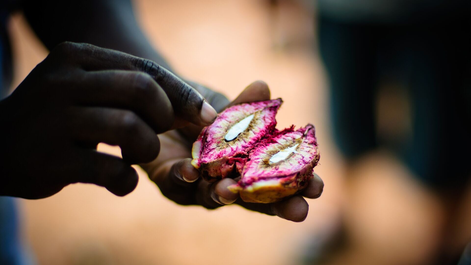 Almonds at a Spice Farm in tanzania