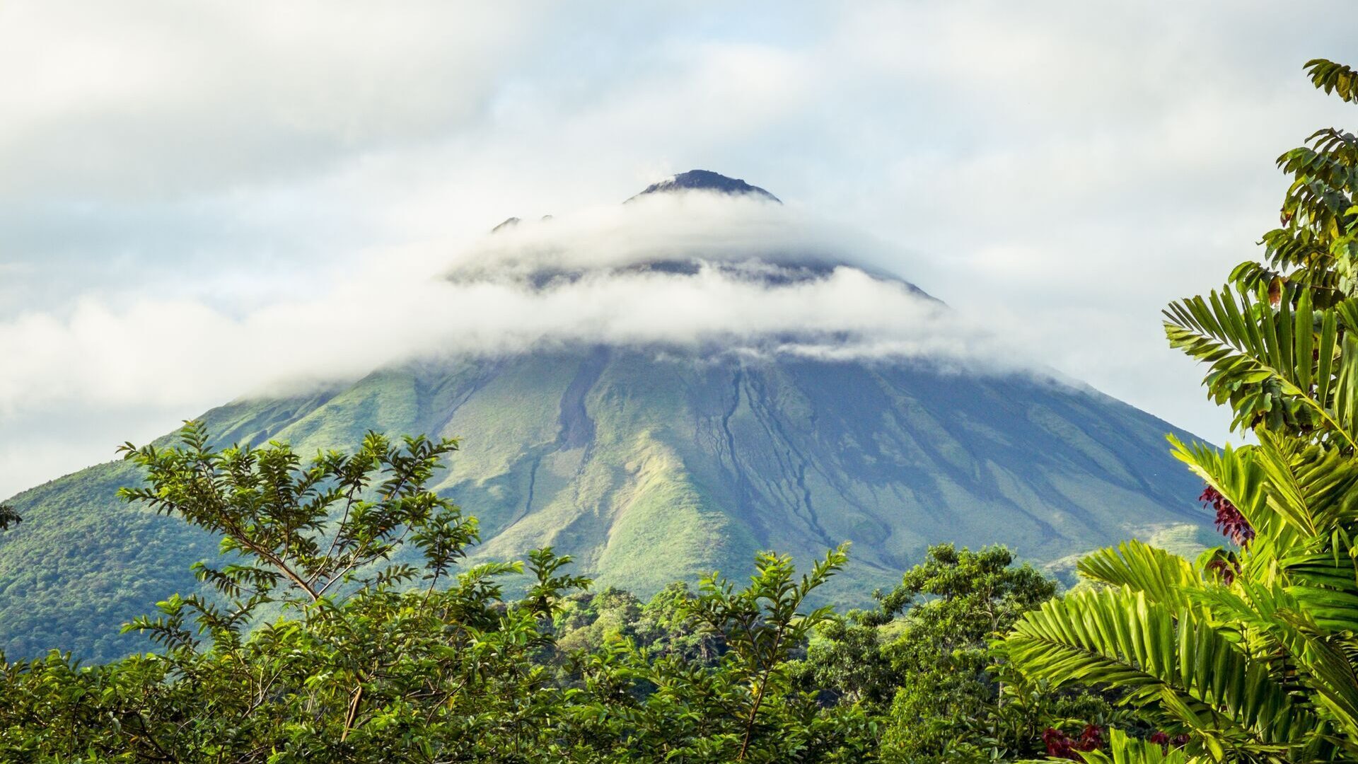 Conical peak of a volcano visible in the distance, rising above a tree canopy